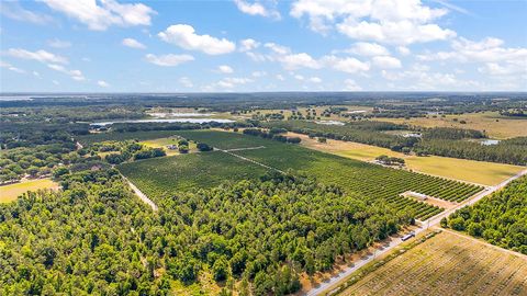 Tiny photo for 7351 Number Two Road, Howey In The Hills, FL 34737 (MLS # G5082071)