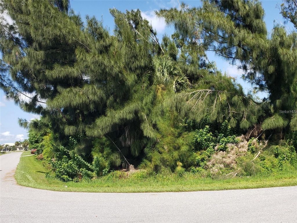 Photo of 370 W Tarpon Boulevard NW, Port Charlotte, FL 33952 (MLS # D6142542)