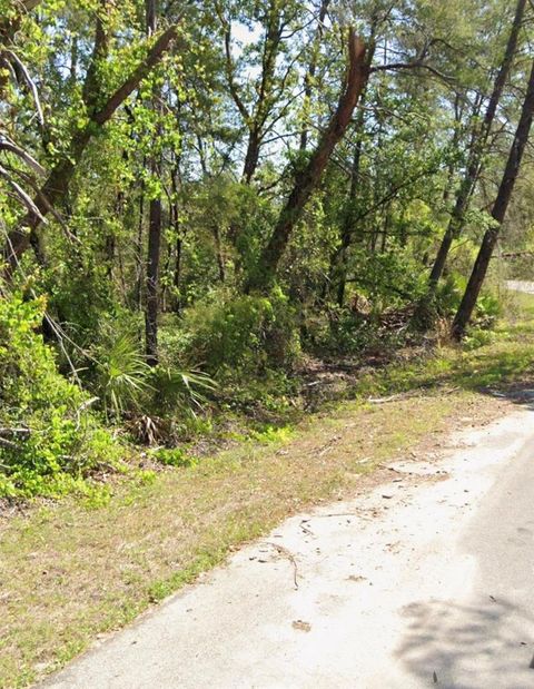 Tiny photo for Tbd Fisher Court, Ocklawaha, FL 32179 (MLS # GC540272)