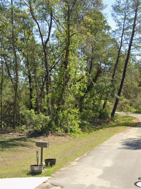 Photo of Tbd Fisher Court, Ocklawaha, FL 32179 (MLS # GC540272)