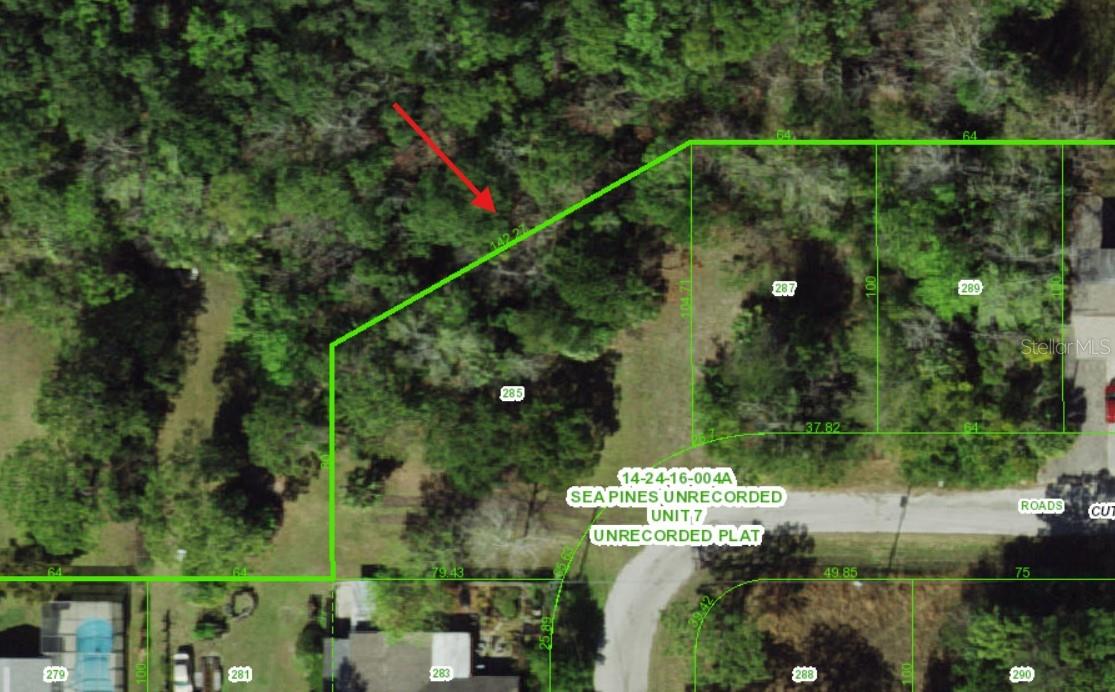 HERE IT IS! Your chance to build your DREAM HOME on a BEAUTIFUL, PRIVATE, CORNER LOT in the very popular community of SEA PINES! Be a part of this great waterfront community and enjoy the SALT LIFE! You will enjoy having NO REAR NEIGHBORS, as this property backs up to the protected preserve. This HUGE LOT is situated on 0.3 acre with PUBLIC WATER AND SEWER and electric ready to go! Are you a boater? Pay one low annual HOA fee and you will have access to the COMMUNITY BOAT RAMP. Enjoy BOAT PARADES and tooling around town in your GOLF CART. The Sea Pines Civic Association hosts fun activities such as YOGA & BINGO! Also nearby are SunWest Park, waterfront dining options such as Inn on the Gulf and Sam's Beach Bar, as well as the MARINA, shopping, hospitals and medical facilities. Explore the State Parks including the Mermaids at Weeki Wachee to the north, and the beautiful white sand beaches on the Gulf to the south, as well as Tampa, the airport, International Mall, and so much more. Make your dream life a reality and start building today!