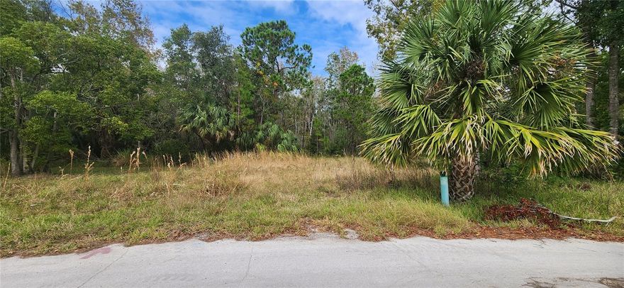 Financing Available at 6% interest with 20% down! Here's your chance to build your DREAM HOME on a BEAUTIFUL, PRIVATE, CORNER LOT in the very popular community of SEA PINES! Be a part of this great waterfront community and enjoy the SALT LIFE! You will enjoy having NO REAR NEIGHBORS, as this property backs up to the protected preserve. This HUGE LOT is situated on 0.3 acre with PUBLIC WATER AND SEWER and electric ready to go! Are you a boater? Pay one low annual HOA fee and you will have access to the COMMUNITY BOAT RAMP. Enjoy BOAT PARADES and tooling around town in your GOLF CART. The Sea Pines Civic Association hosts fun activities such as YOGA & BINGO! Also nearby are SunWest Park, waterfront dining options such as Inn on the Gulf and Sam's Beach Bar, as well as the MARINA, shopping, hospitals and medical facilities. Explore the State Parks including the Mermaids at Weeki Wachee to the north, and the beautiful white sand beaches on the Gulf to the south, as well as Tampa, the airport, International Mall, and so much more. Make your dream life a reality and start building today!