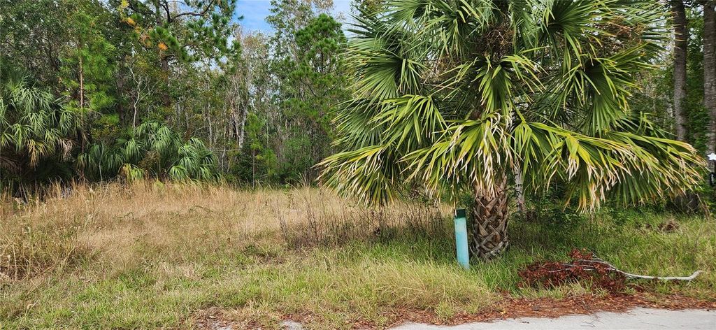 Photo of 285 Cutlass Drive, Hudson, FL 34667 (MLS # W7869823)