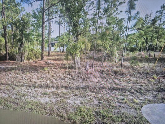 2651 W BRAVURA DR, CITRUS SPRINGS, FL 34433 - Image 1b68a2fb1080beb2ee8a8e87f279527e/1631139733