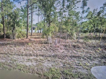 2651 W BRAVURA DRIVE CITRUS SPRINGS FL 34433