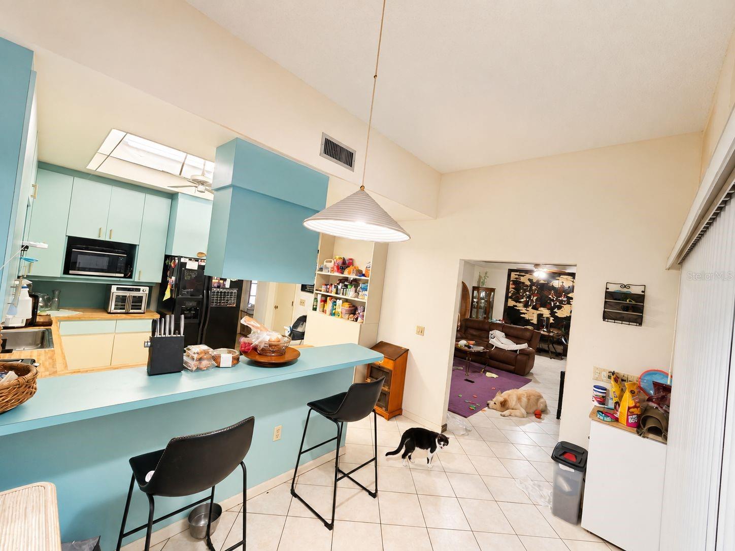 7350 PALOMINO TRAIL