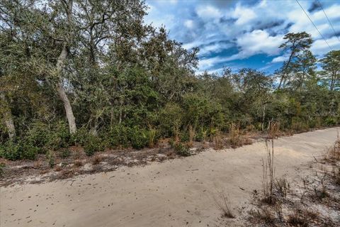 Tiny photo for NE 233rd Lane, Fort Mccoy, FL 32134 (MLS # O6367359)