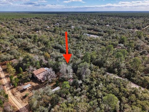 Tiny photo for NE 233rd Lane, Fort Mccoy, FL 32134 (MLS # O6367359)