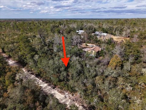Photo of NE 233rd Lane, Fort Mccoy, FL 32134 (MLS # O6367359)