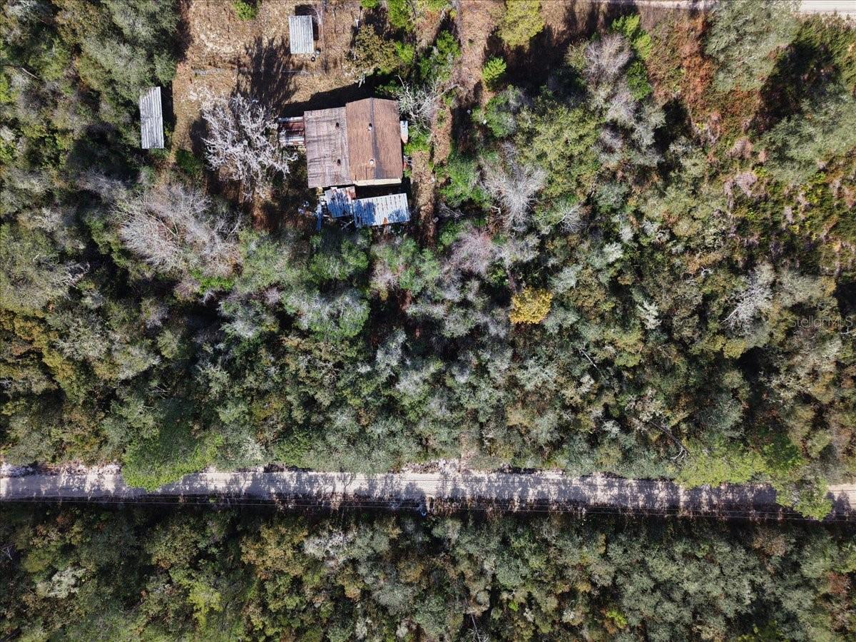 OCALA NATIONAL FOREST CAMPSITES - Land