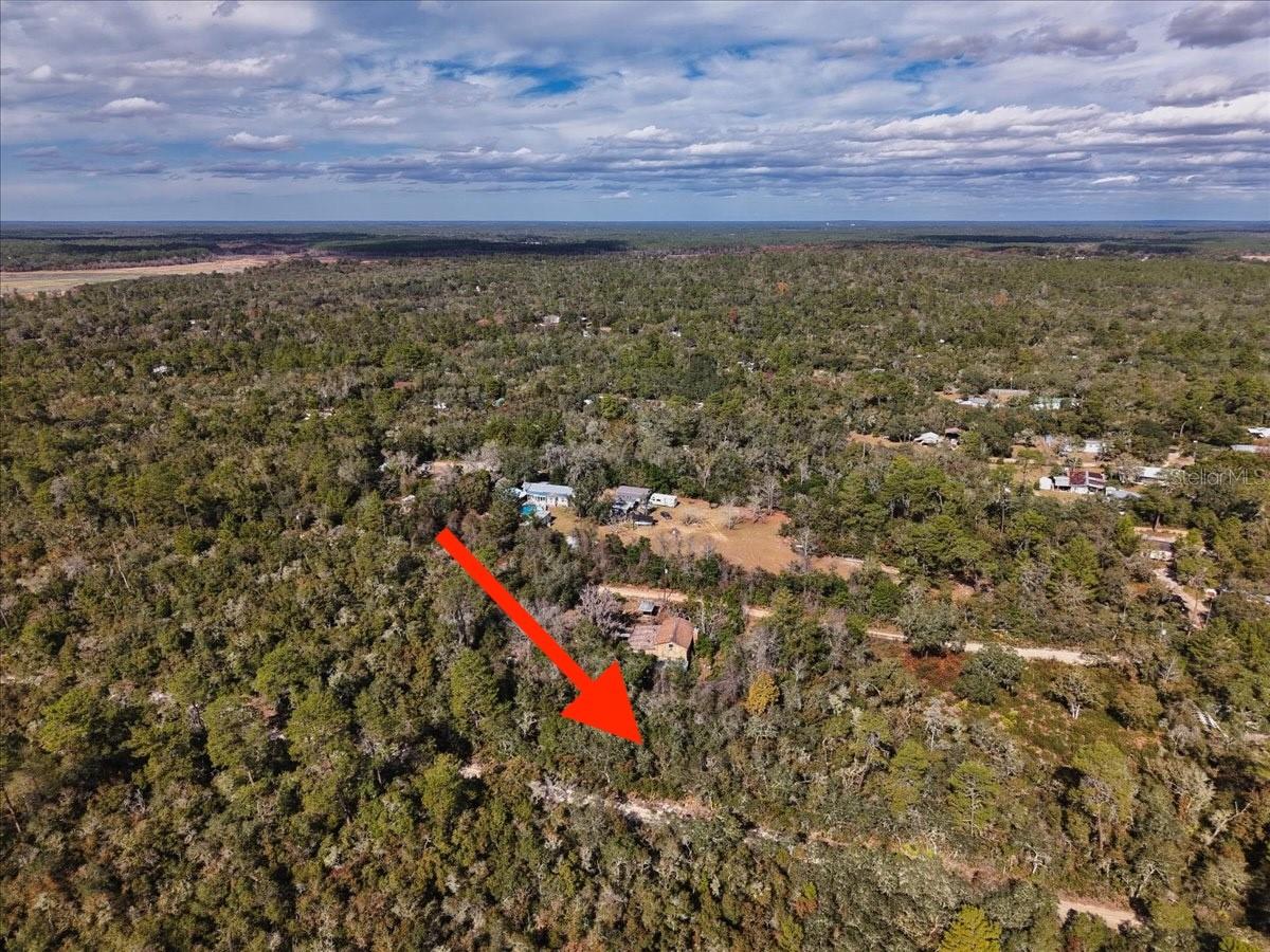 OCALA NATIONAL FOREST CAMPSITES - Land