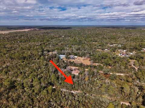 Tiny photo for NE 233rd Lane, Fort Mccoy, FL 32134 (MLS # O6367359)