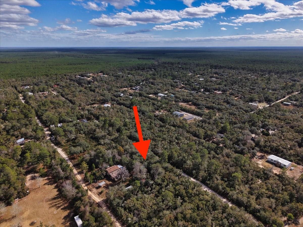 OCALA NATIONAL FOREST CAMPSITES - Land