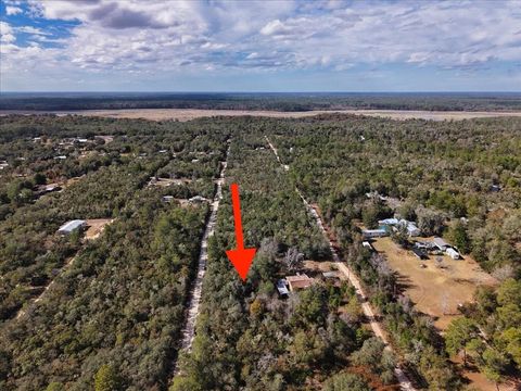 Tiny photo for NE 233rd Lane, Fort Mccoy, FL 32134 (MLS # O6367359)