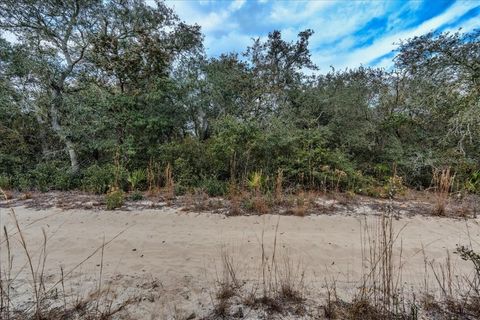 Tiny photo for NE 233rd Lane, Fort Mccoy, FL 32134 (MLS # O6367359)