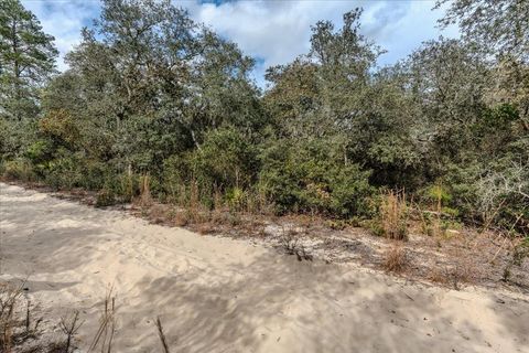 Tiny photo for NE 233rd Lane, Fort Mccoy, FL 32134 (MLS # O6367359)