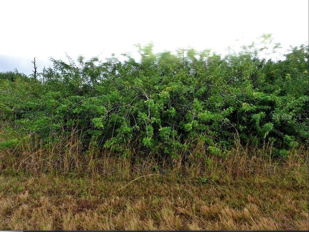 Photo of Fireglow Circle, North Port, FL 34288 (MLS # O6188730)