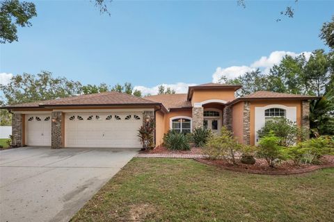 Photo of 3701 Barnhouse Place, Valrico, FL 33596 (MLS # TB8438552)