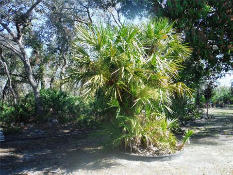 A home in SAFETY HARBOR