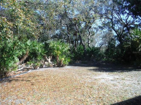 A home in SAFETY HARBOR