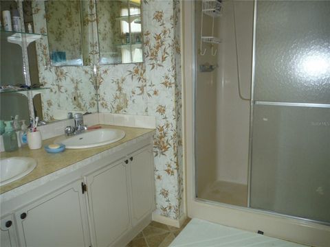 A home in SAFETY HARBOR