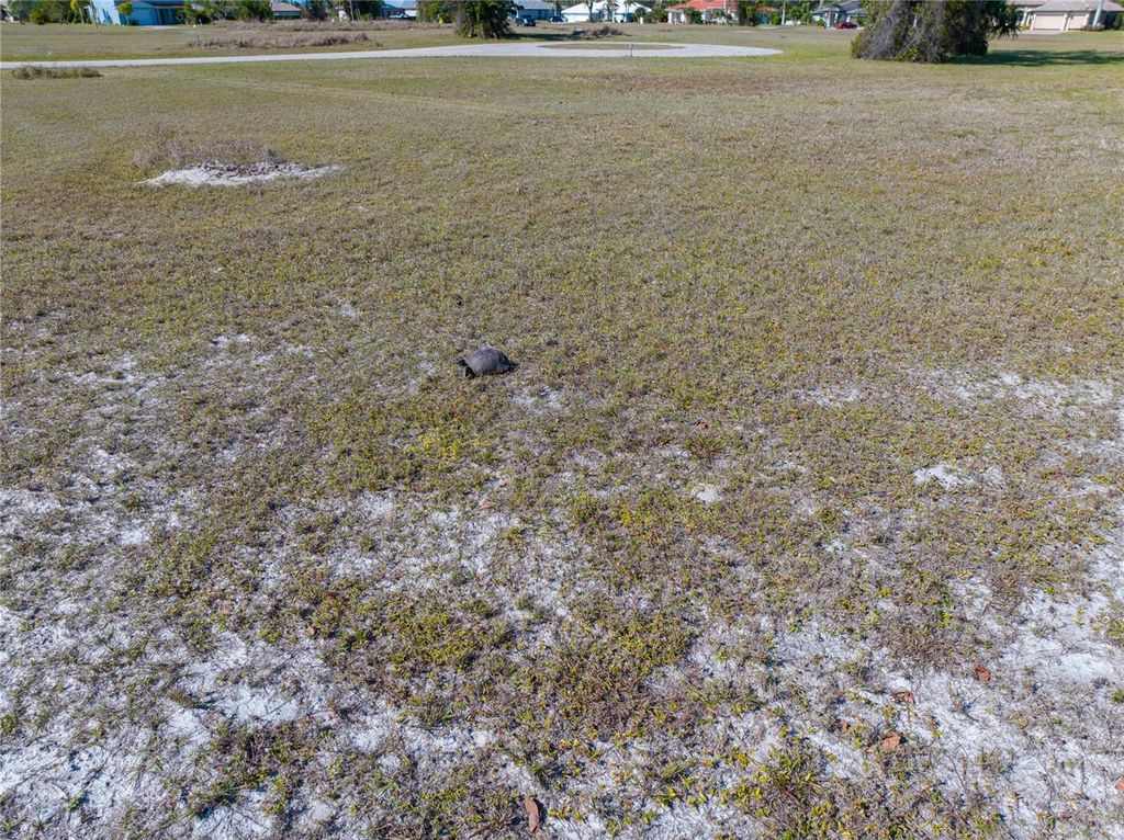 Photo of 17154 Sugar Court, Punta Gorda, FL 33955 (MLS # A4649985)