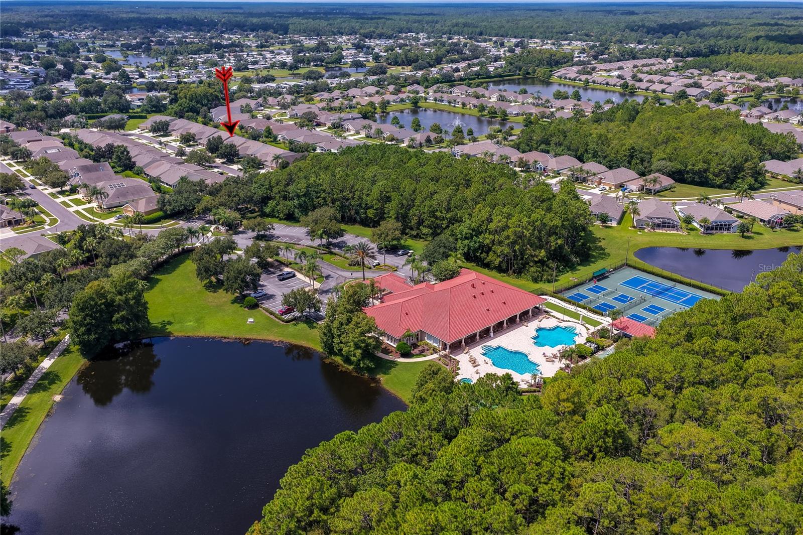 1413 COCONUT PALM CIRCLE