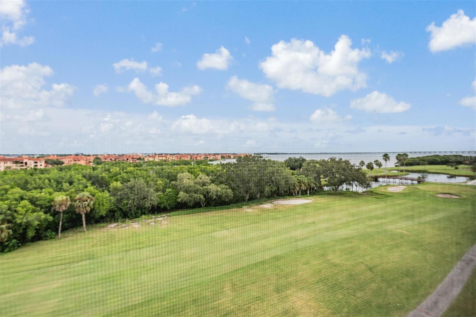 Experience the ultimate in Florida living with this stunning 6th-floor condo, perfectly positioned to showcase breathtaking views of the Cove Cay Golf Course and sparkling Tampa Bay. Located in the newest building of desirable Village 4, this turnkey residence is spotlessly clean and beautifully furnished, ready for you to move right in. The home exudes elegance with rich hardwood flooring throughout and ceramic tile in the kitchen, baths, and porch. The well-appointed kitchen features high-quality ivory cabinetry, stainless steel appliances, crown moulding, a unique designer ceiling, and a charming breakfast nook accented by a stained-glass window artwork. The living room boasts a unique Anderson sliding glass door wall, allowing natural light to fill the space and perfectly frame the incredible views. These doors are both gorgeous and energy efficient and are constructed of high performance tempered glass. They are also featured in the primary bedroom. Crown molding highlights the living areas and bedrooms, while chair rail detailing adds a touch of sophistication to the dining area and hall. Both bathrooms have been tastefully updated, featuring stunning tile work and modern finishes. The master suite offers a built-in armoire, custom closet, and a beautifully upgraded bath. The second bedroom also features built-in closet storage. The large 6 x 20 porch is glassed and screened in, for enjoyment of all the Florida seasons as well as additional storm protection. Off the porch, is a storage area/laundry room with full size LG washer and dryer, totally convenient to the main bedroom. Mechanicals include a water heater replaced in 2018 and a brand new, in April 2025, HVAC system, with transferrable warranty. There is nothing to do in this exceptional condo , which combines luxury, comfort, and unmatched views along with a high quality and well cared for interior except to move in. Lush grounds, gorgeous ripples of Tampa Bay’s sparkling waters, an available 18-hole championship golf course with full restaurant and bar open 7 days a week, a full marina available for your boating pleasures, and 24 hour security make this the Paradise known as Cove Cay.