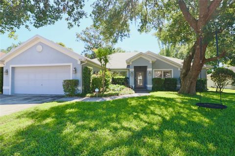 A home in LAKELAND