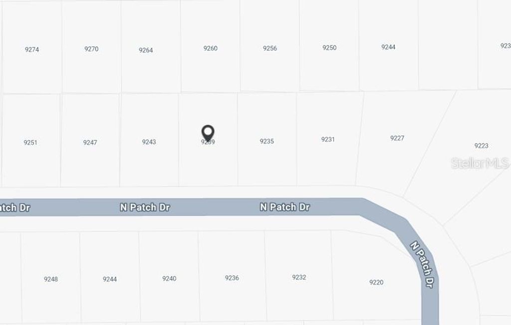 Photo of 9239 N Patch Drive, Dunnellon, FL 34434 (MLS # OM702710)