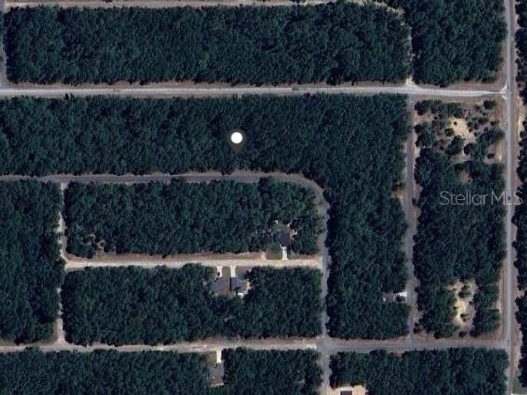 Photo of 9239 N Patch Drive, Dunnellon, FL 34434 (MLS # OM702710)