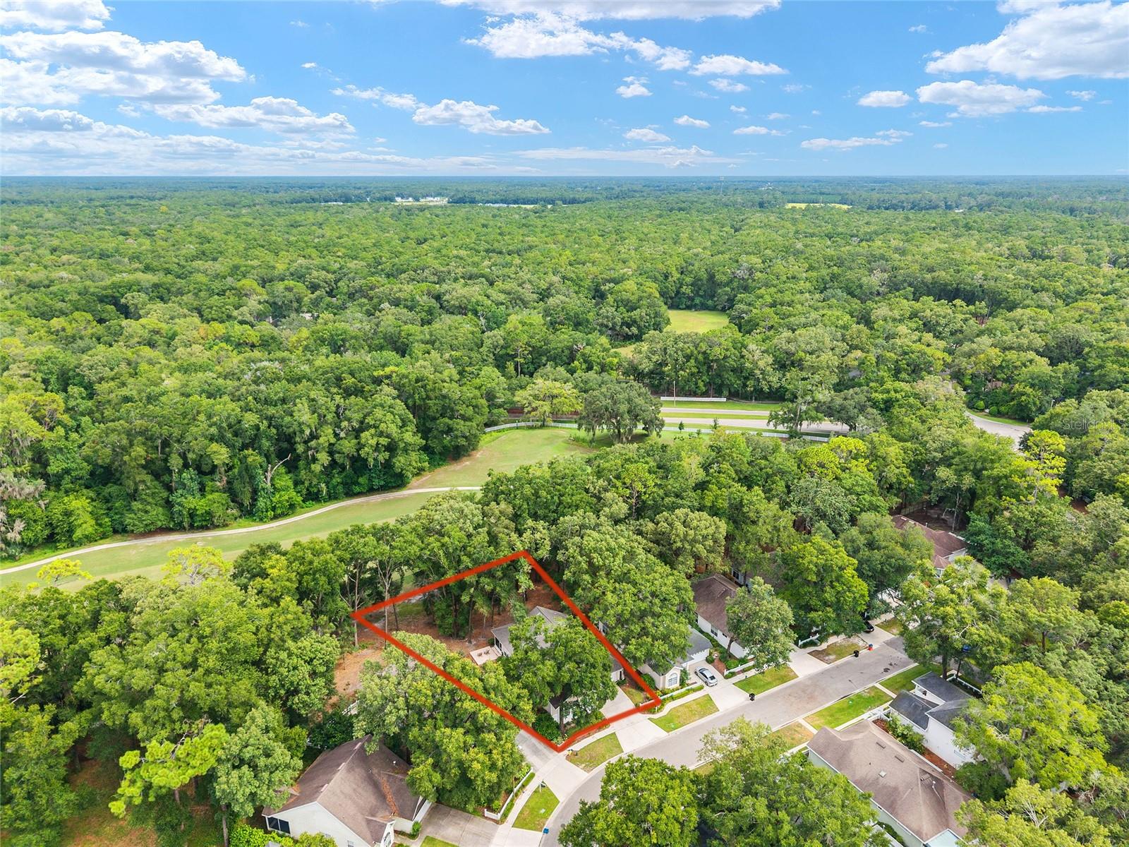 Beautifully maintained 3 bedroom 2 bath home located on the 5th fairway of Haile Plantation's Hawkstone Golf and Country Club. Enjoy the views of the fairway and woods from the 10 x 30 foot screened in back porch. Entertaining is a breeze with a large open kitchen with all wood cabinets, granite counter tops and stainless appliances. This home has such a spacious feeling with 10ft ceilings throughout, a gas fireplace in the great room, newer planked wood floors and a gorgeous view through the french doors to the golf course. This home is a must see if you like a view with privacy and close to everything that Gainesville has to offer.
