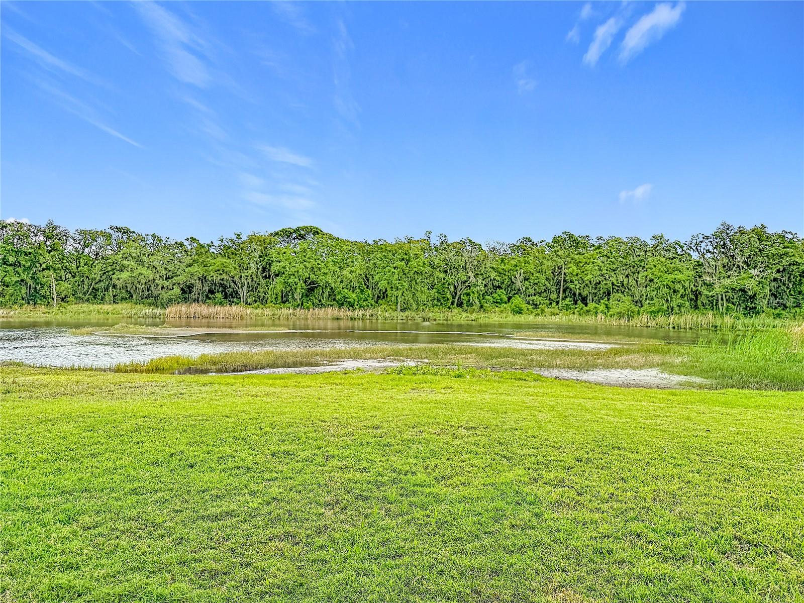 CYPRESS CREEK - Residential