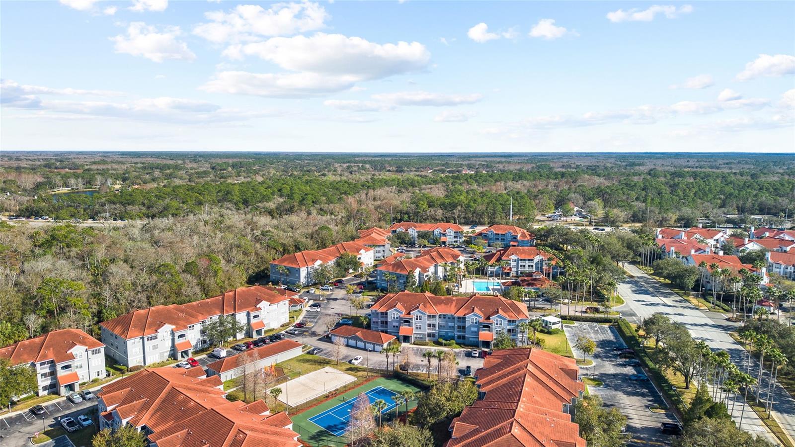 THE ENCLAVE AT RICHMOND PLACE - Residential