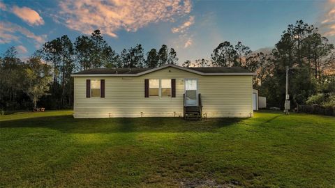 A home in POLK CITY