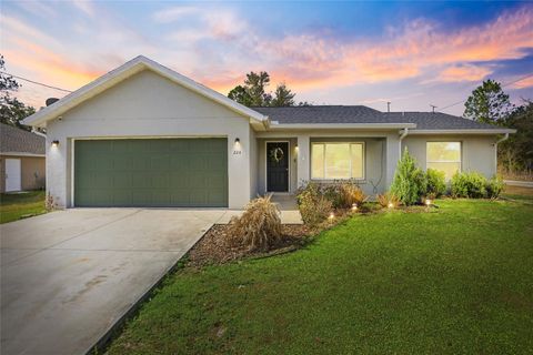 224 FISHER ROAD OCKLAWAHA FL 32179