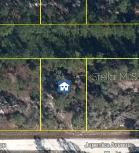 Photo of 3021 Japonica Avenue, Lake Placid, FL 33852 (MLS # W7889681)