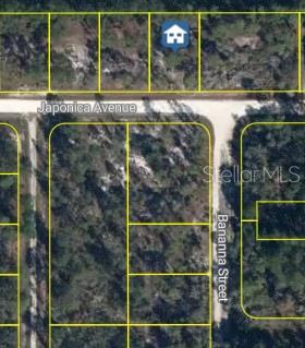 Photo of 3021 Japonica Avenue, Lake Placid, FL 33852 (MLS # W7889681)