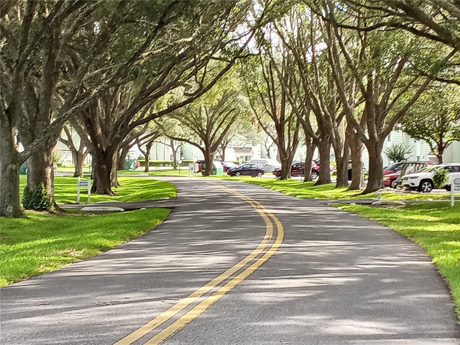 LIVE OAK VILLAGE CONDO - Residential