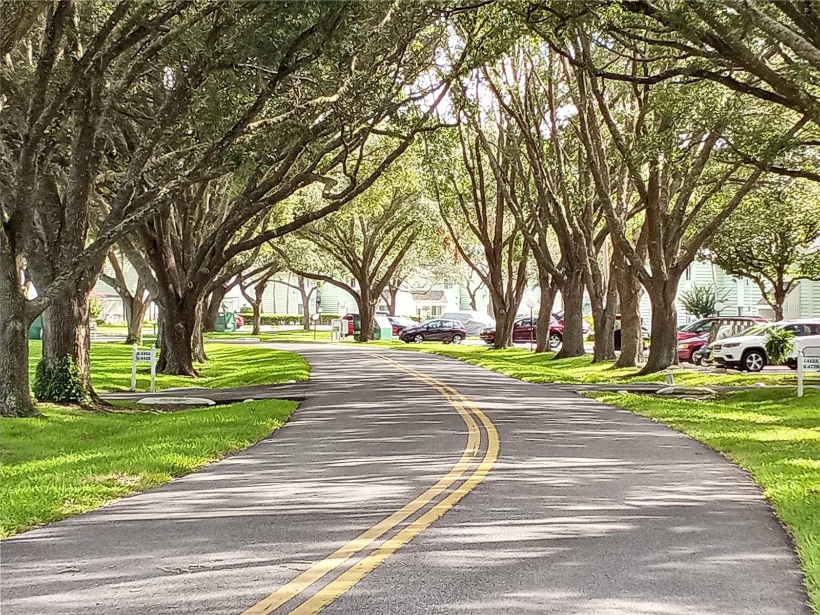 LIVE OAK VILLAGE CONDO - Residential