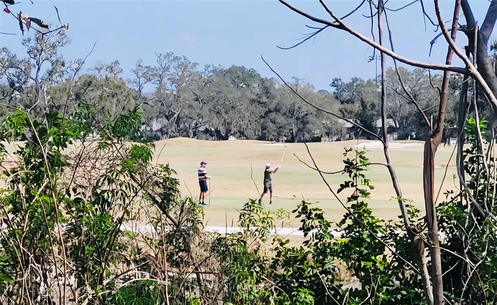 FAIRWAY OAKS - Residential