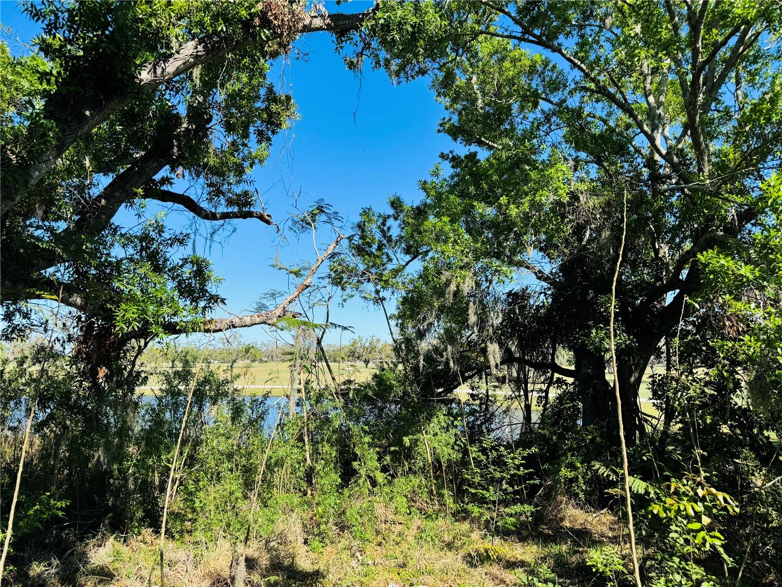 FAIRWAY OAKS - Residential