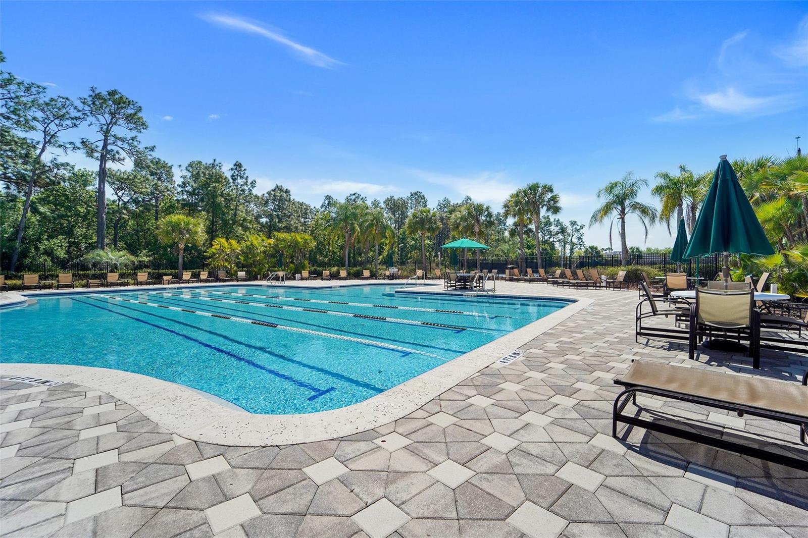 LIVE OAK PRESERVE - Residential