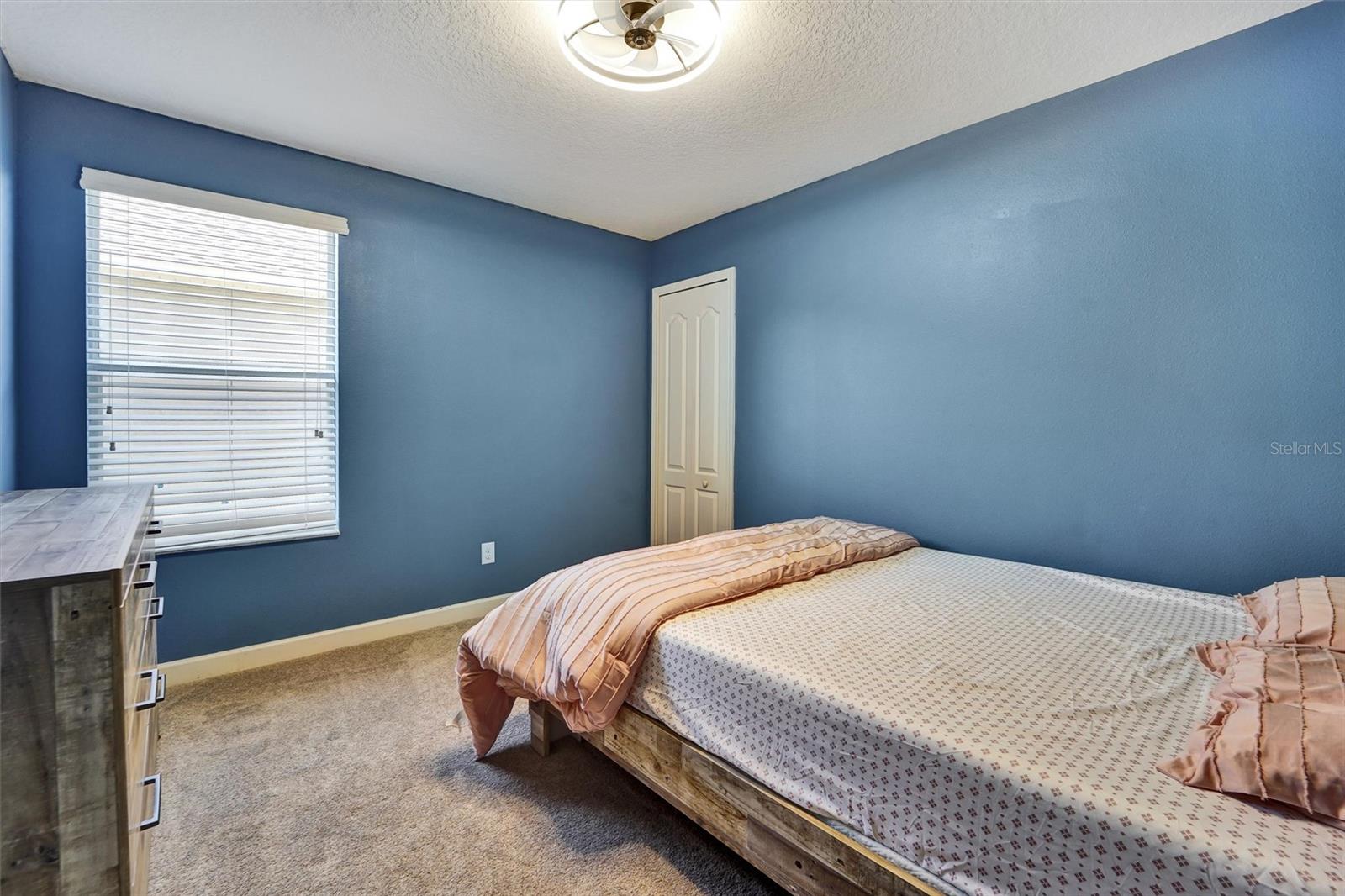 LIVE OAK PRESERVE - Residential