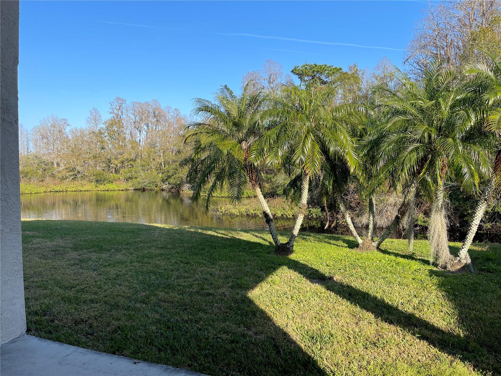 MEADOW POINTE PARCEL 17 UNIT 1 - Residential Lease