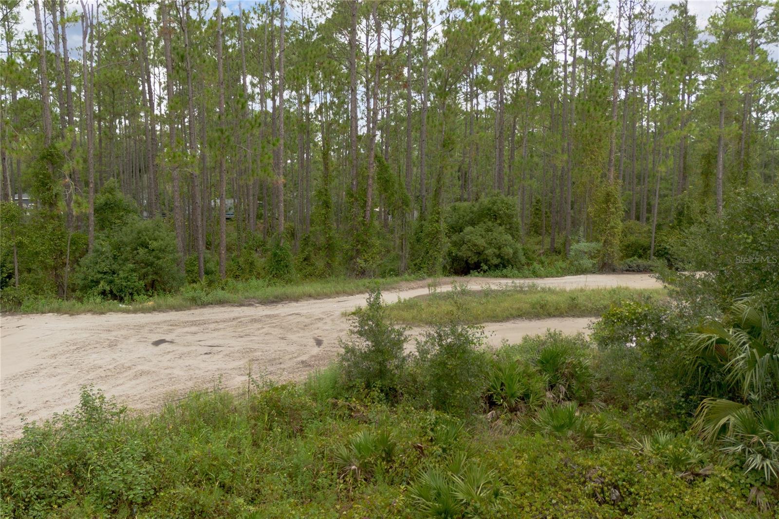 DAYTONA PARK ESTATES REP SEC E - Land