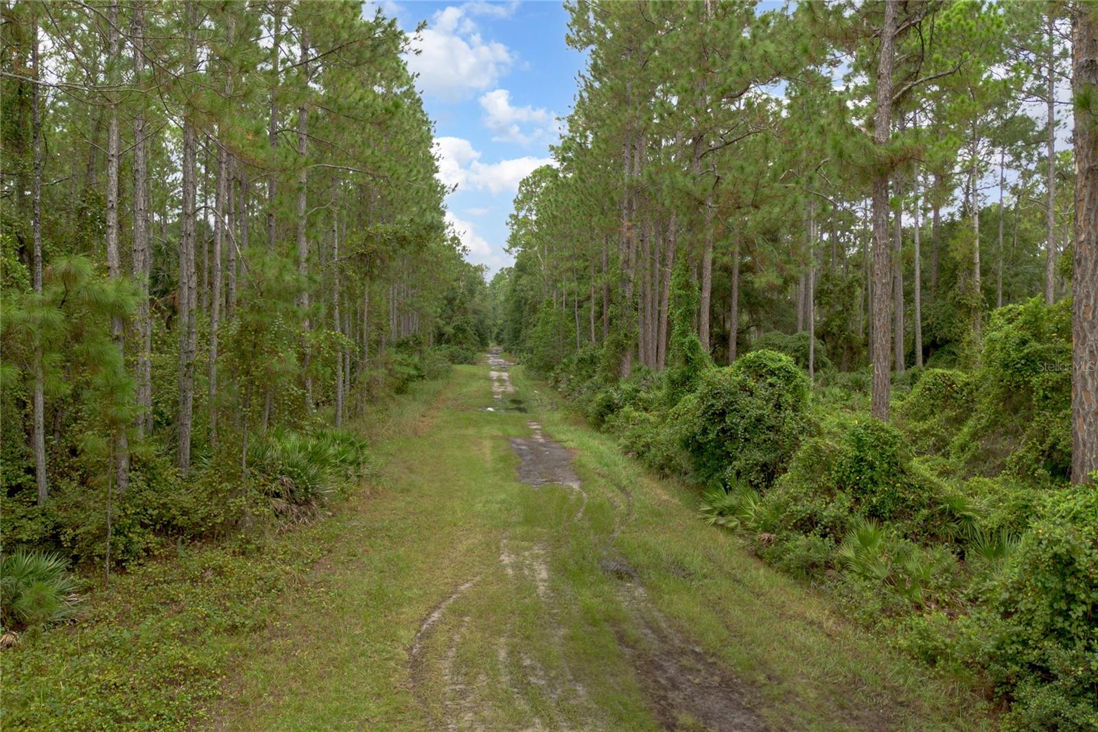 DAYTONA PARK ESTATES REP SEC E - Land