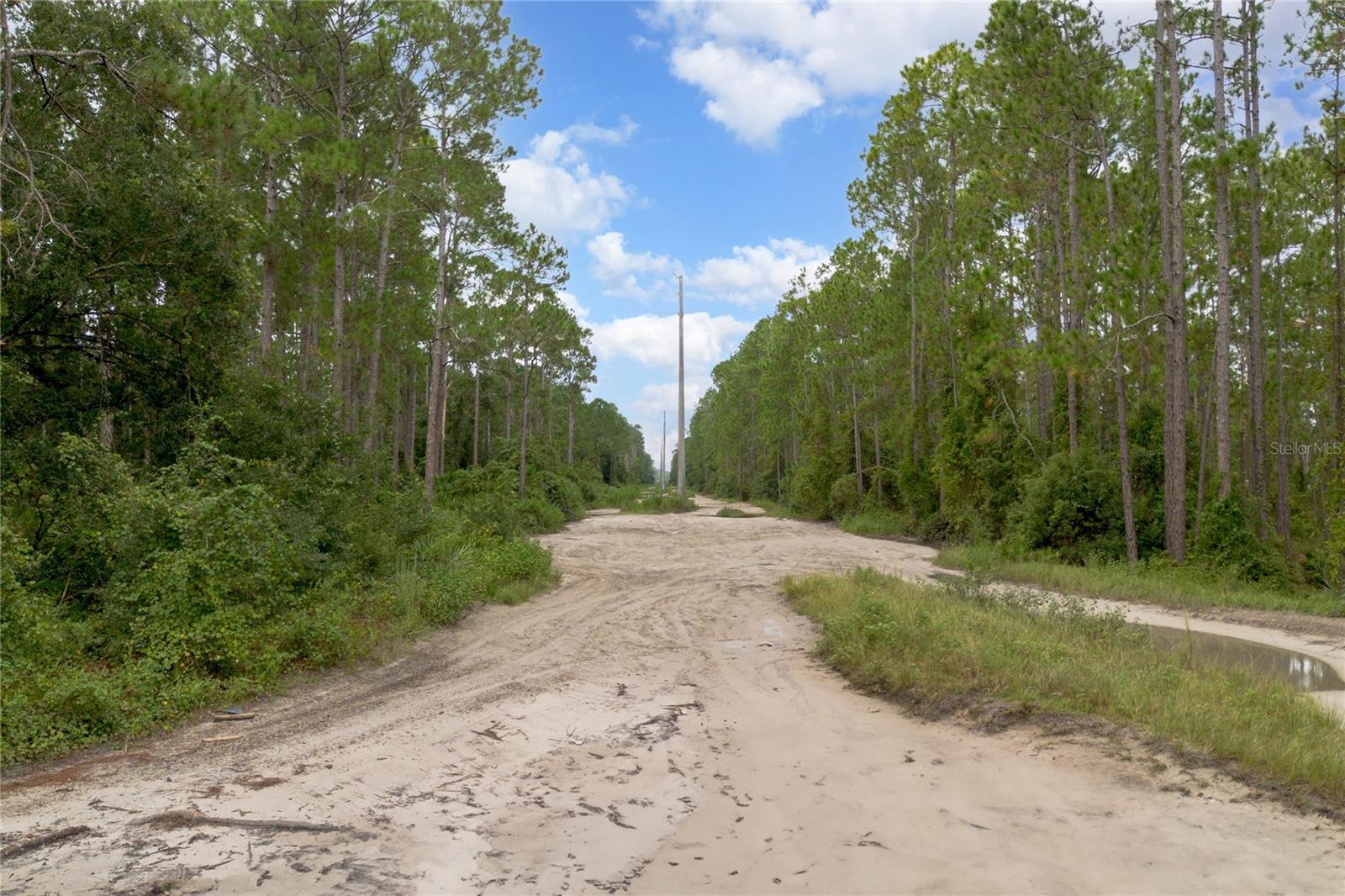 DAYTONA PARK ESTATES REP SEC E - Land
