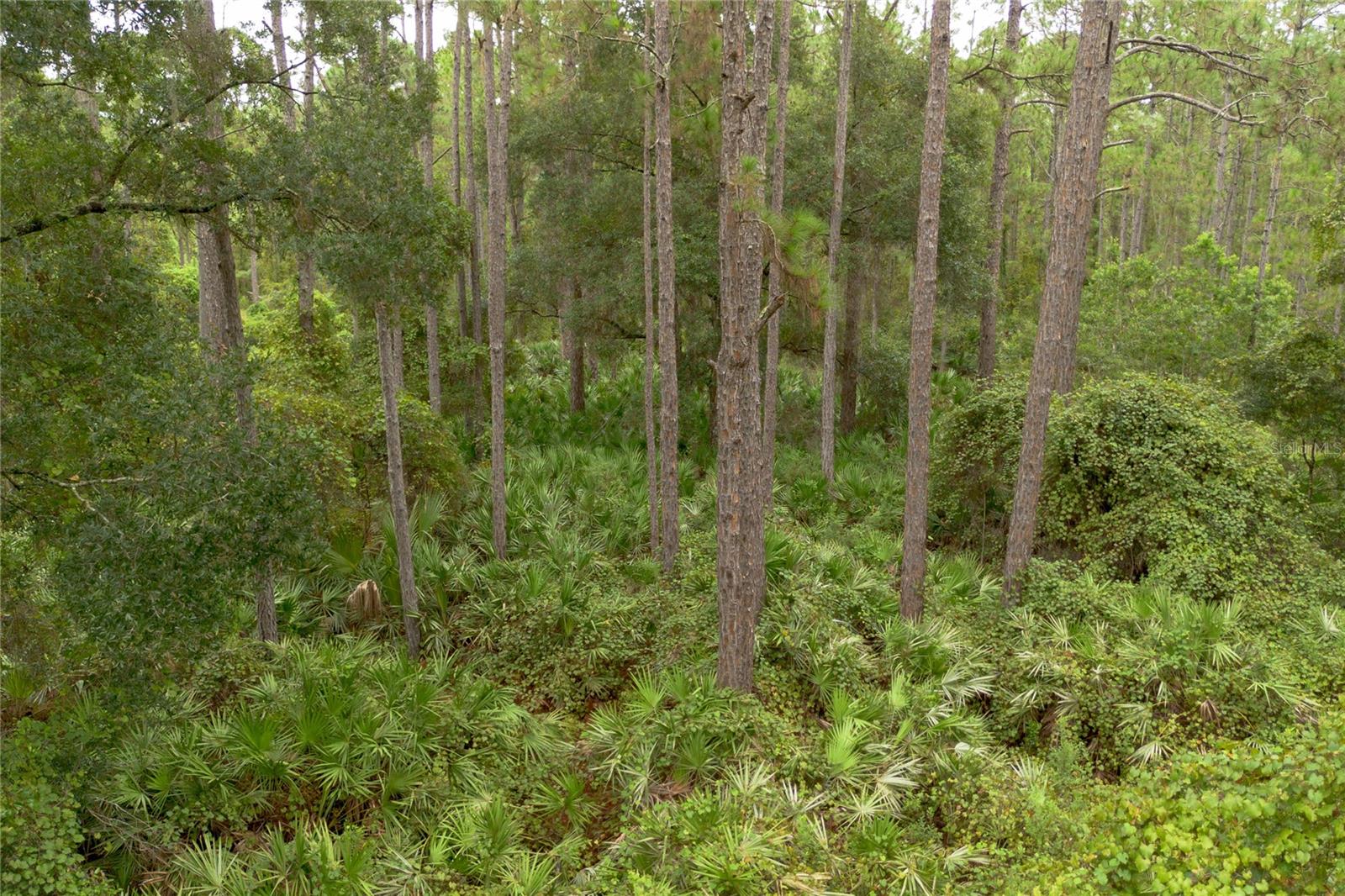 DAYTONA PARK ESTATES REP SEC E - Land