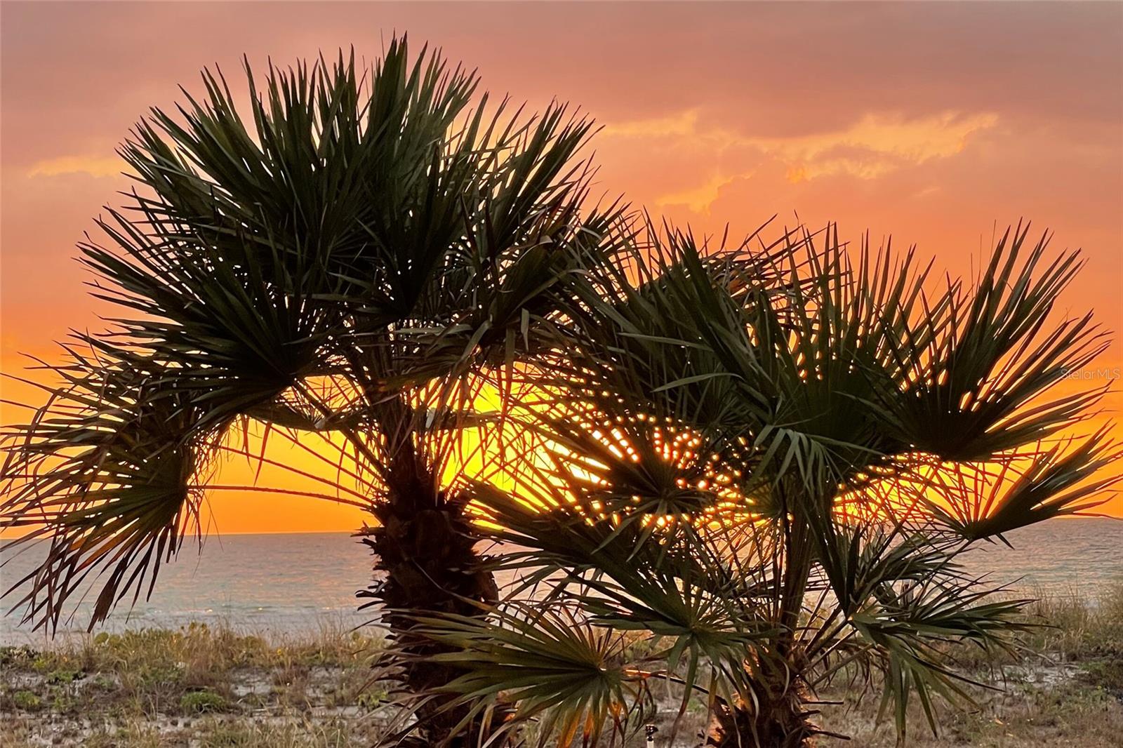 SAND KEY CONDO-SOUTH BEACH 1460 UNIT 511 - Residential